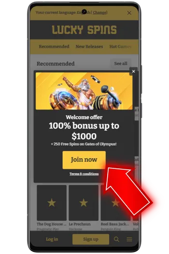Open the site